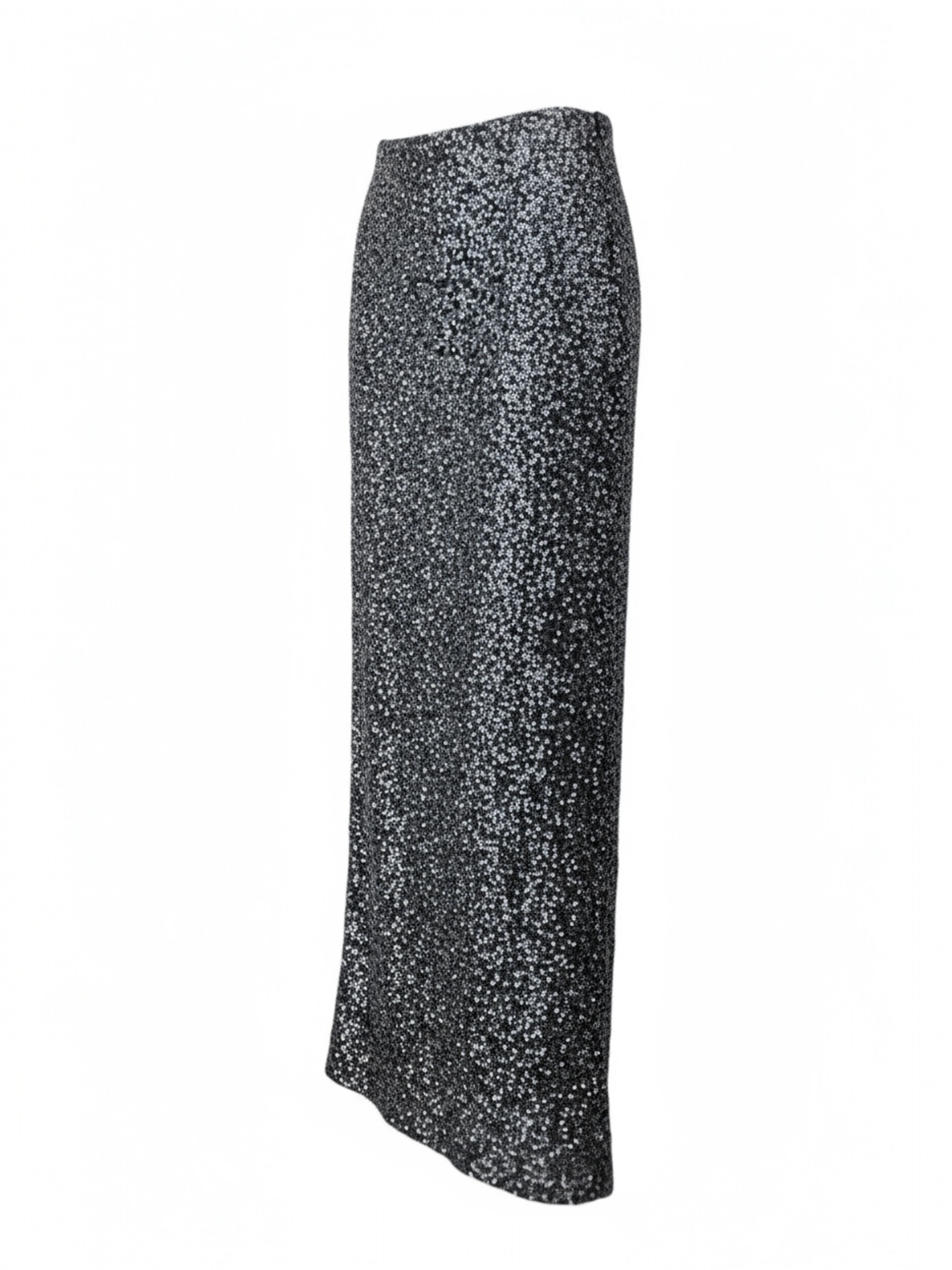 LONGUETTE PAILLETTES